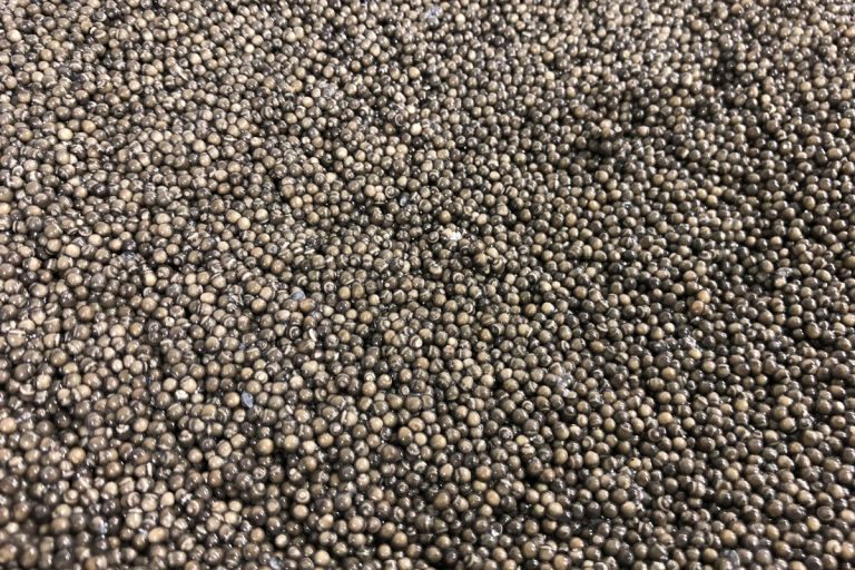 Bild zeigt Caviarperlen
